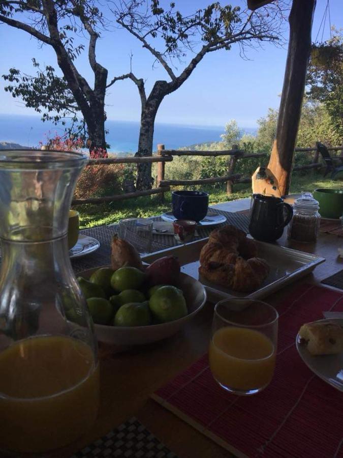 Masseria Cata Catascia Bed & Breakfast Tortorella ภายนอก รูปภาพ