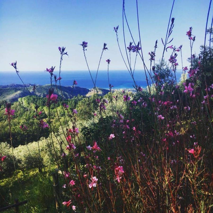 Masseria Cata Catascia Bed & Breakfast Tortorella ภายนอก รูปภาพ
