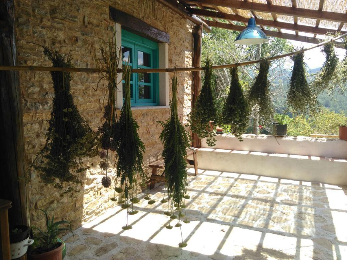 Masseria Cata Catascia Bed & Breakfast Tortorella ภายนอก รูปภาพ